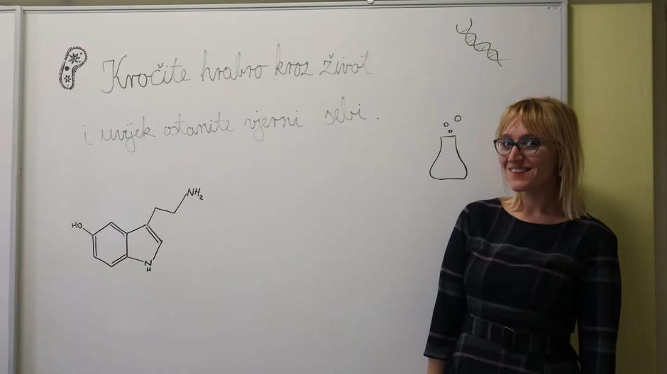  | Author: Gimnazija Matija Mesić