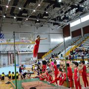 Slika 1