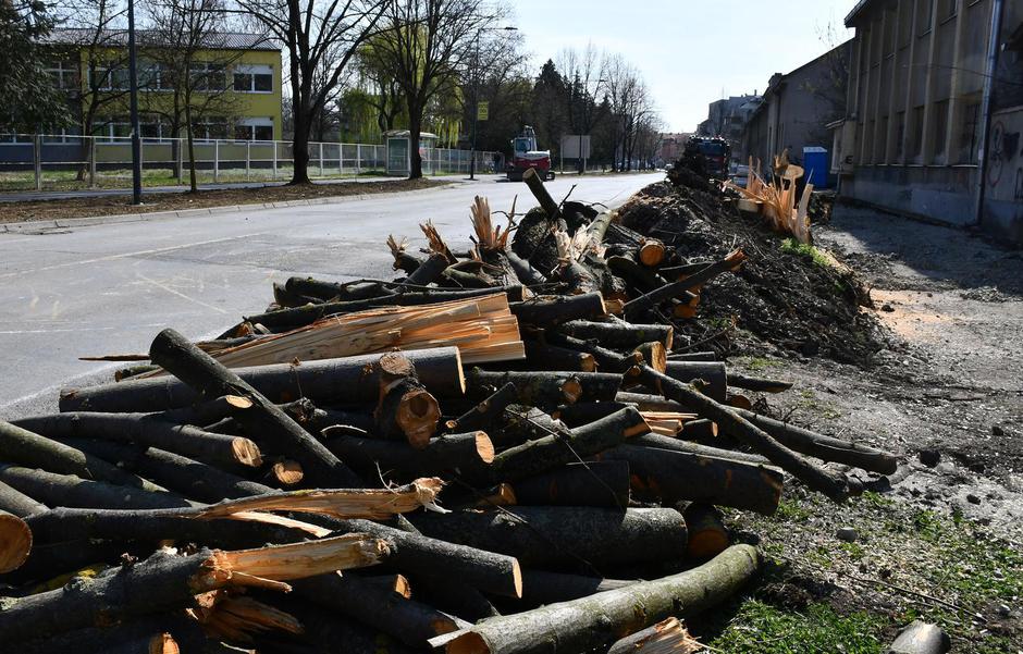  | Author: Ivica Galović/Pixsell