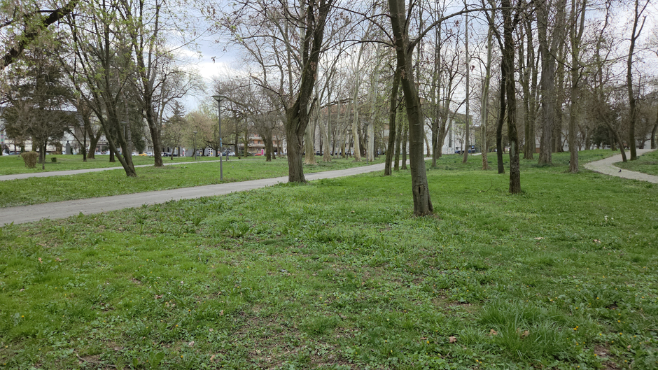  | Author: Željka Gavranović / PlusPortal