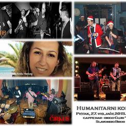 Humanitarni koncert za Anitu Herceg