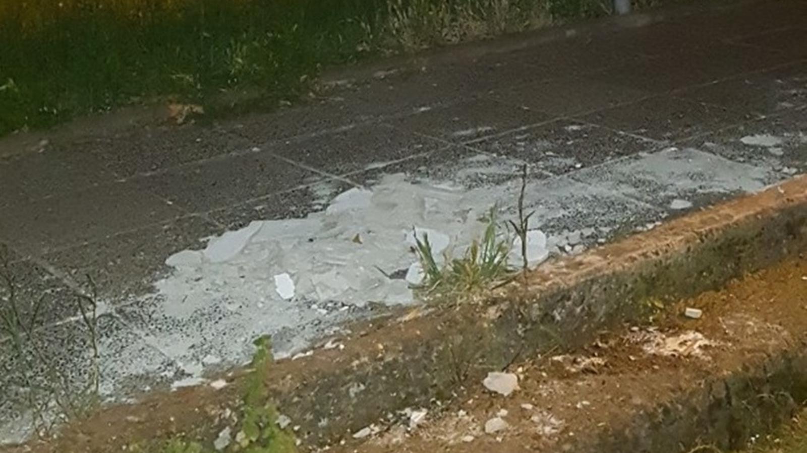 Čitateljica SBplus-a