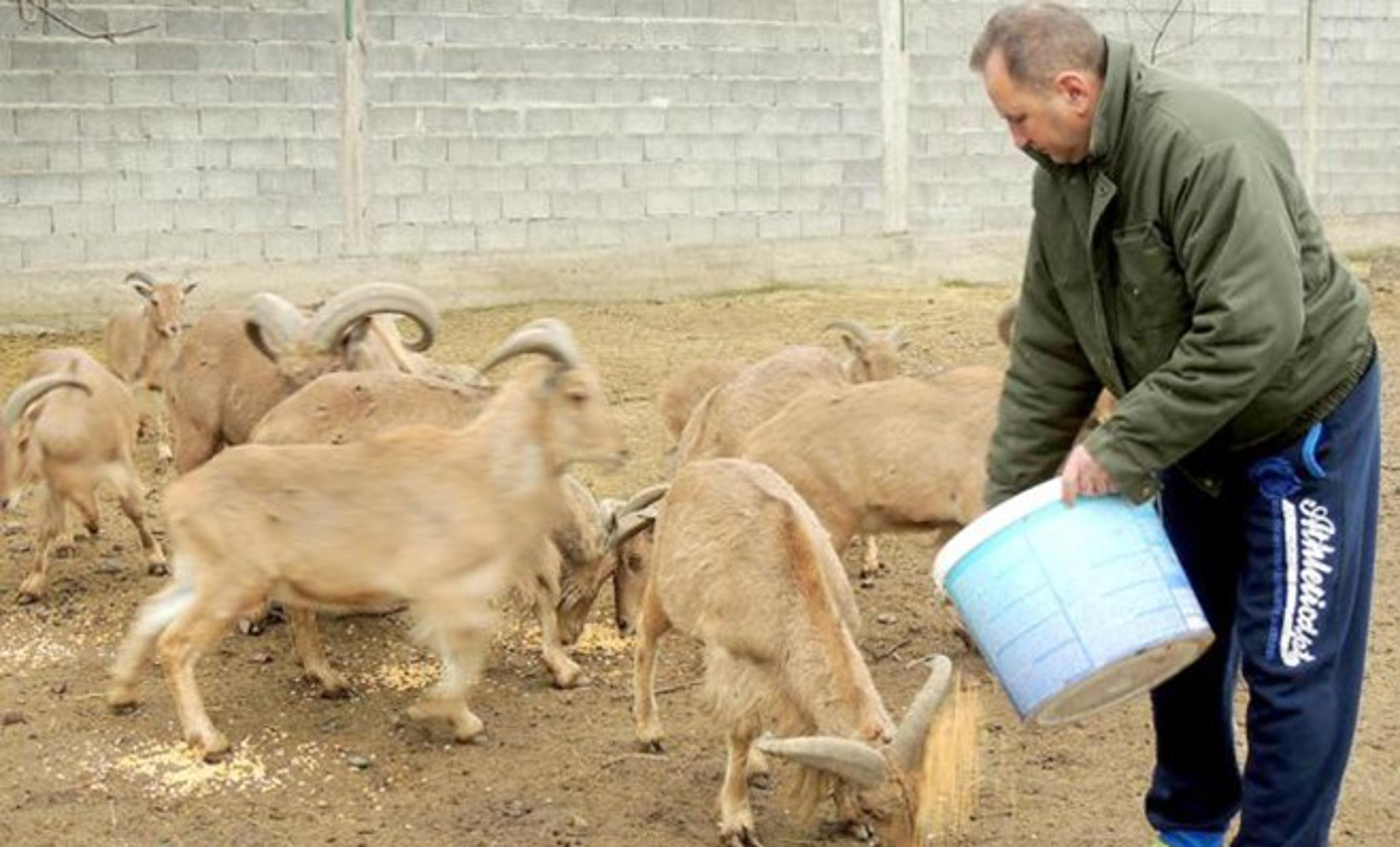 Zoo vrt u Ruščici