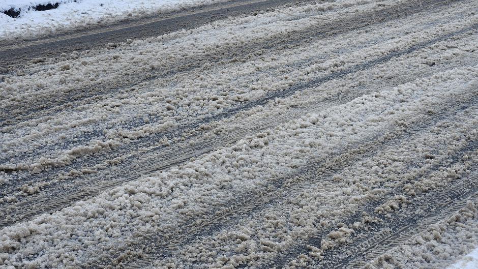  | Author: Željka Gavranović / PlusPortal