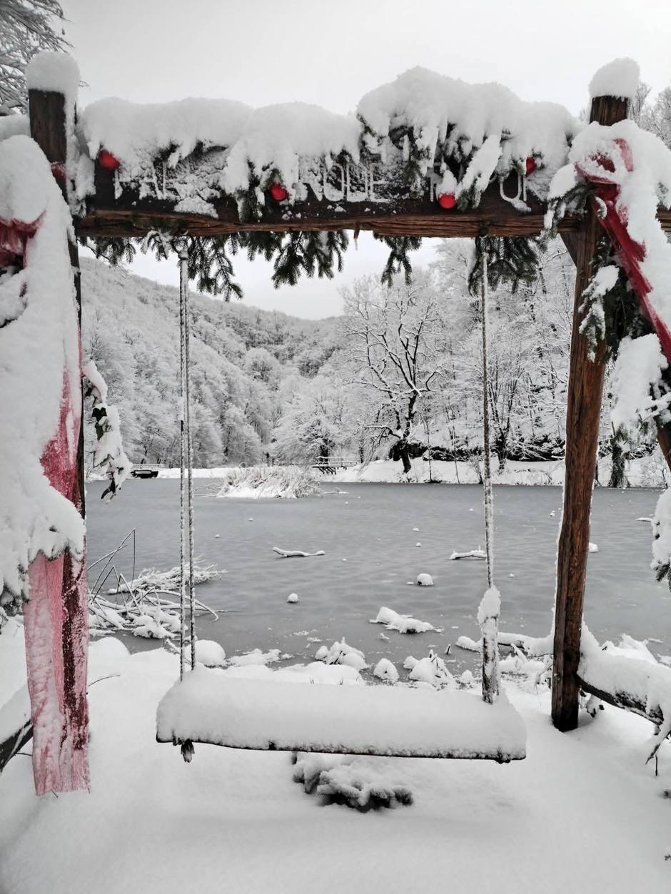  | Author: PP Papuk/FB