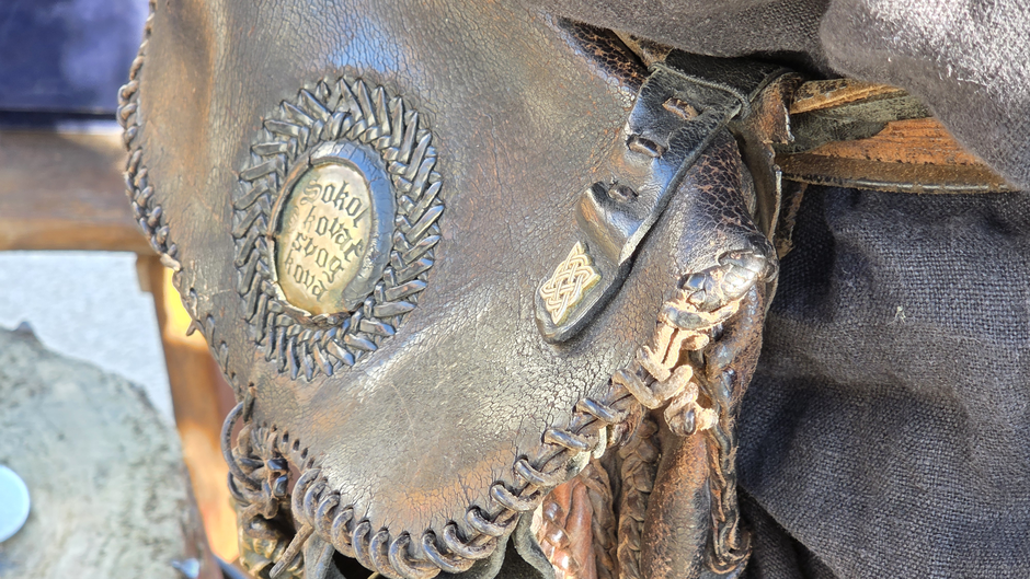  | Author: Željka Gavranović / PlusPortal