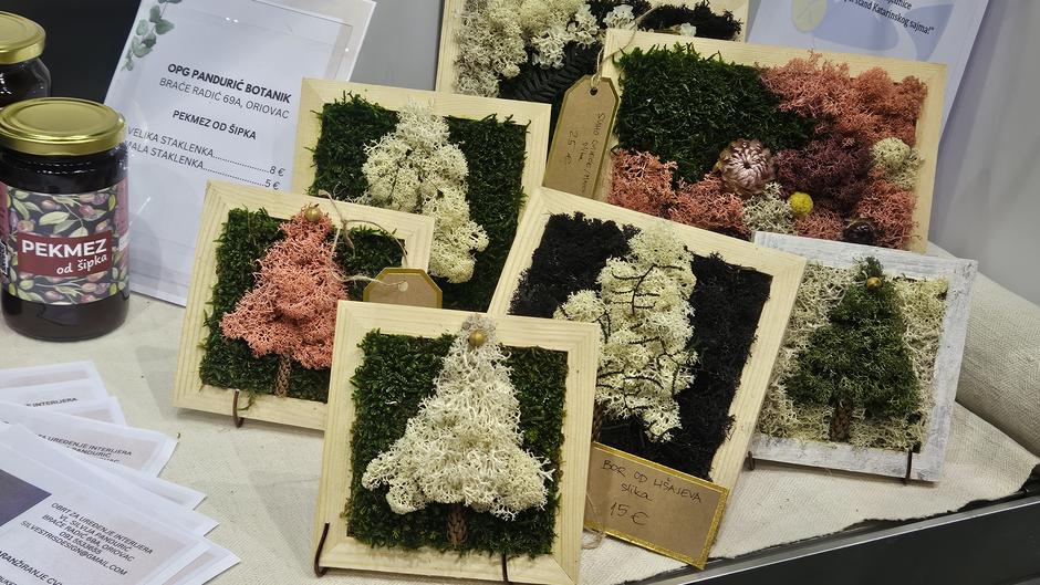  | Author: Željka Gavranović / PlusPortal