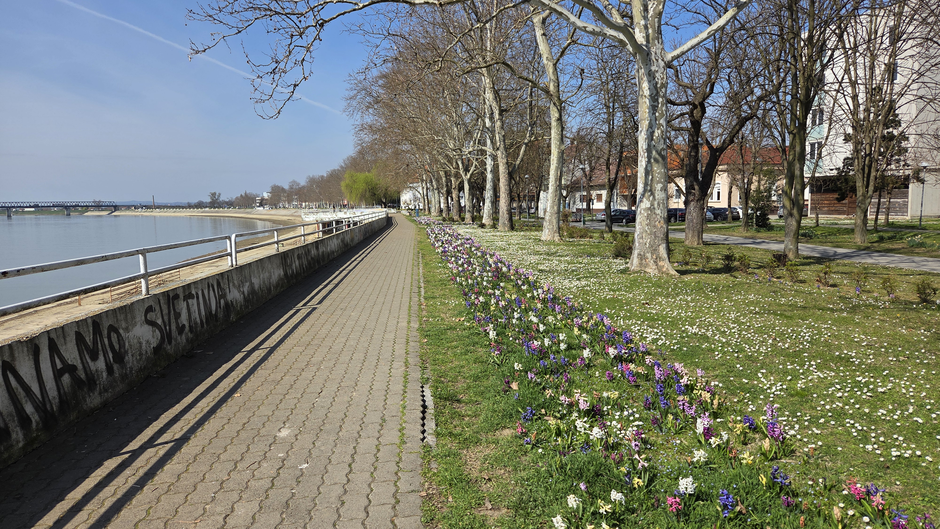  | Author: Željka Gavranović / PlusPortal