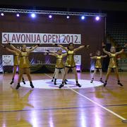 Slika 6
