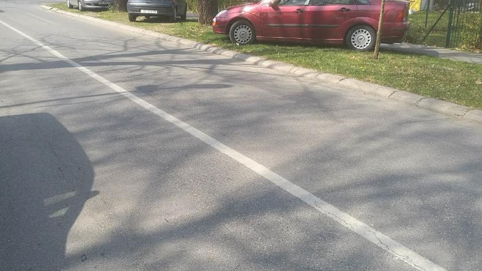 Kaos u Domobranskoj ulici tijekom 