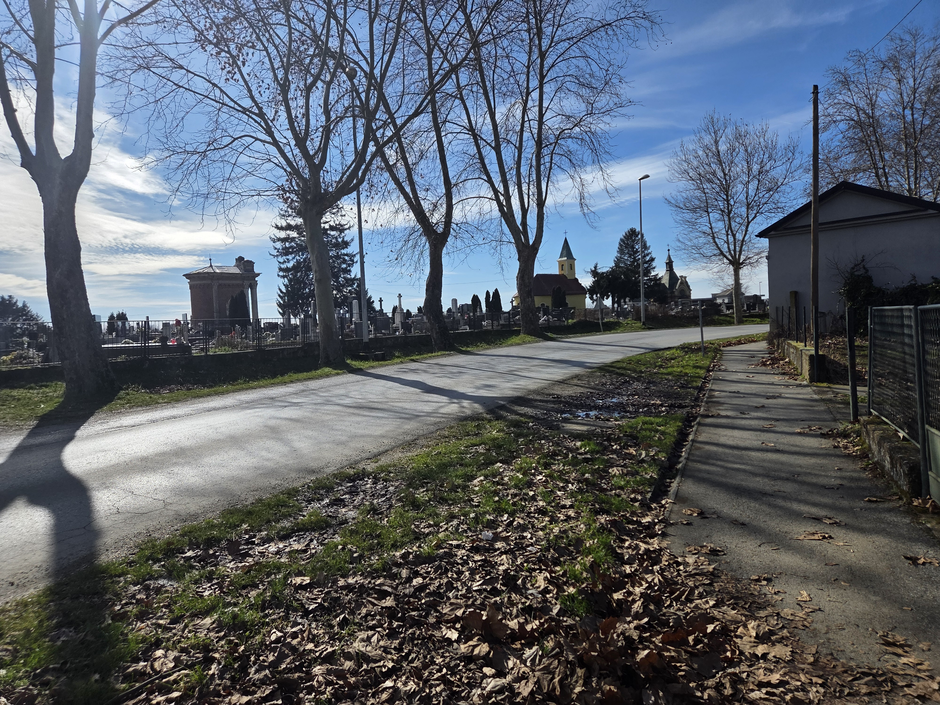  | Author: ilustracija. Foto: DZ/PLUS