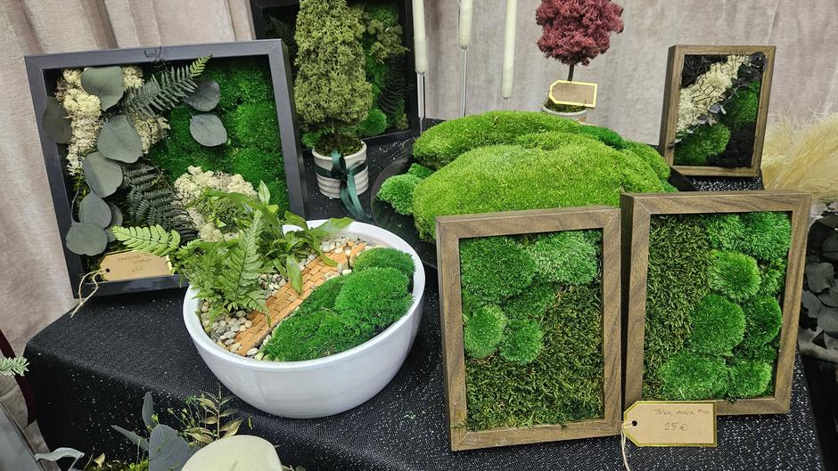  | Author: Željka Gavranović / PlusPortal