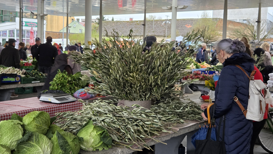  | Author: Željka Gavranović / PlusPortal