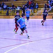 Slika 1