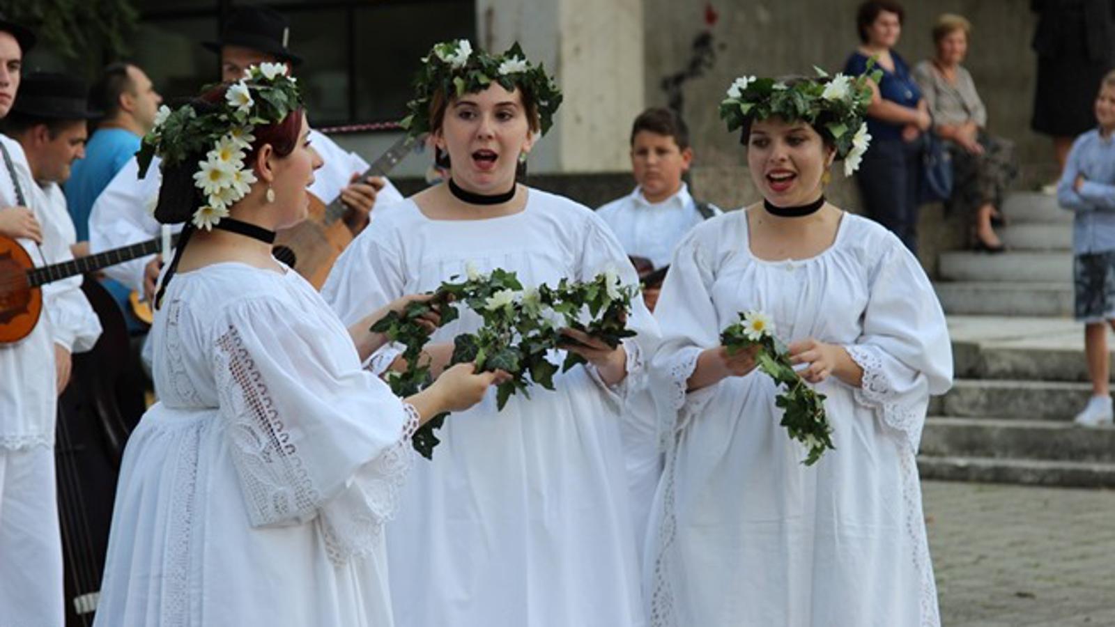Manifestacija 'Brodsko kolo'