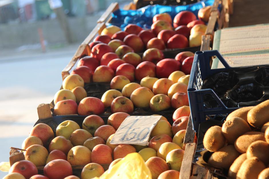  | Author: Luka Sudar / PlusPortal