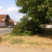 Slika 7