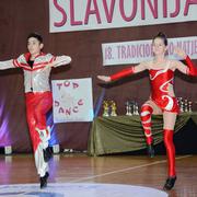 Slika 10