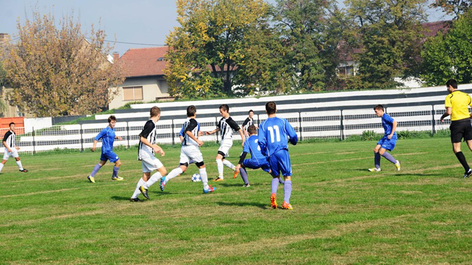 Slika 1