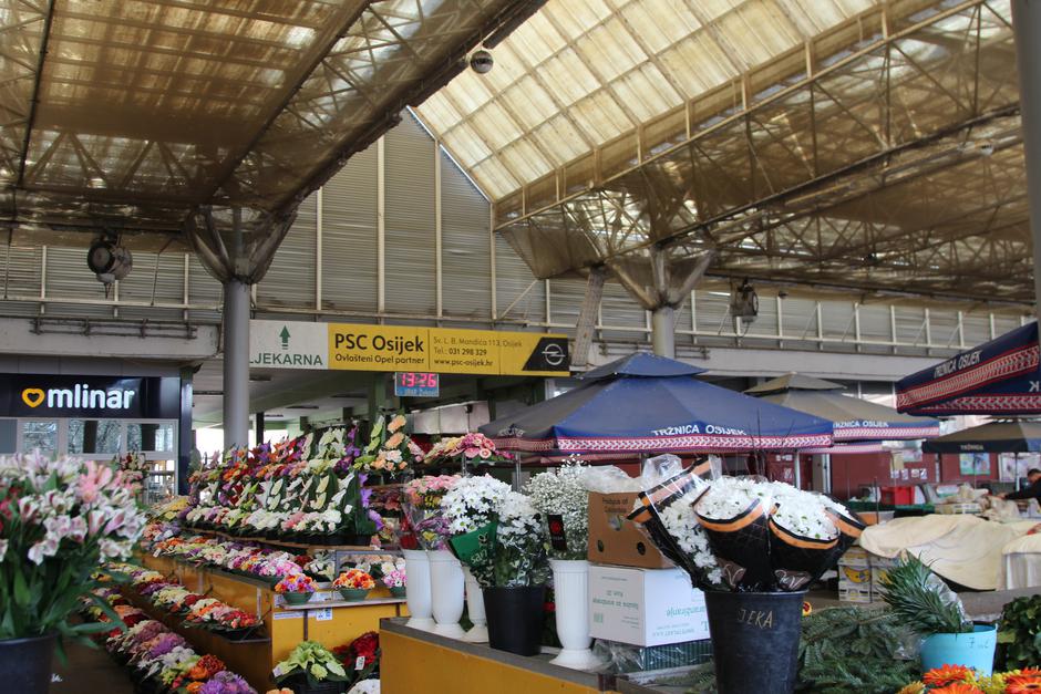  | Author: Luka Sudar / PlusPortal