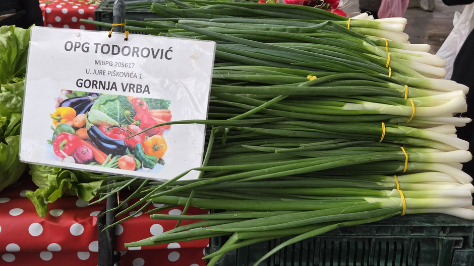  | Author: Željka Gavranović / PlusPortal