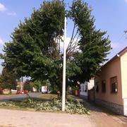 Slika