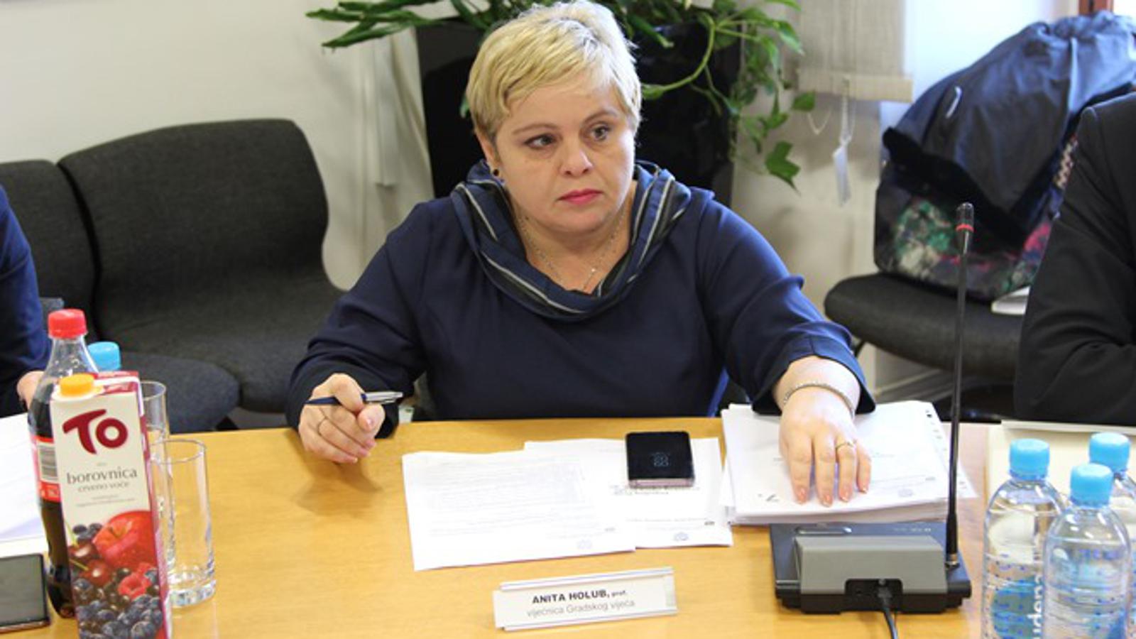 Anita Holub (HDZ) objavila je na Gradskom vijeću 'sretnu vijest'