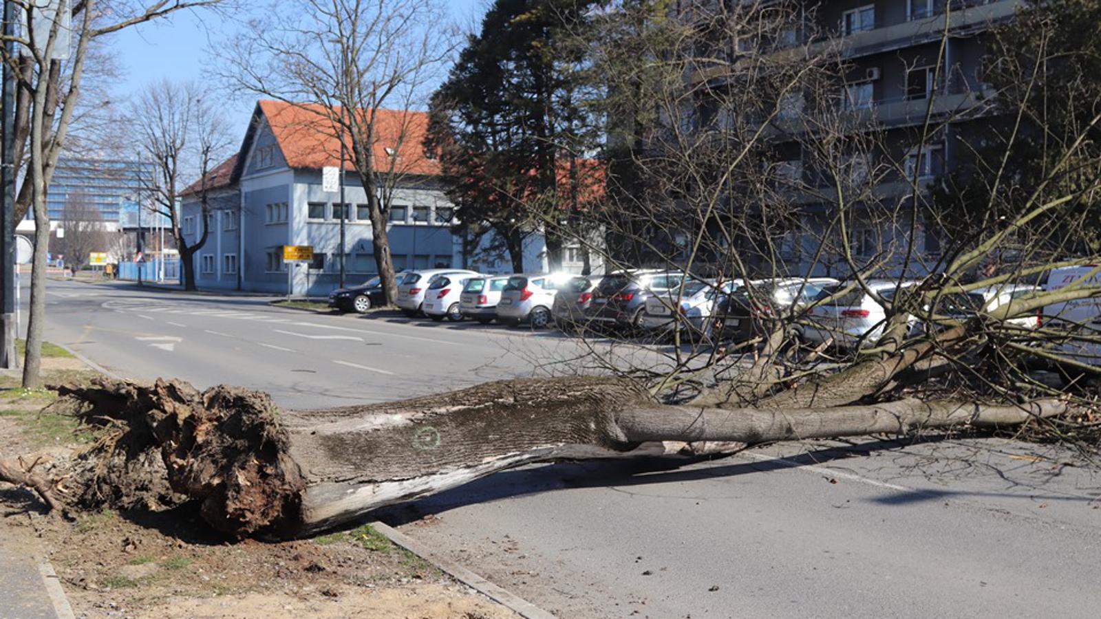 ŽG/SBplus