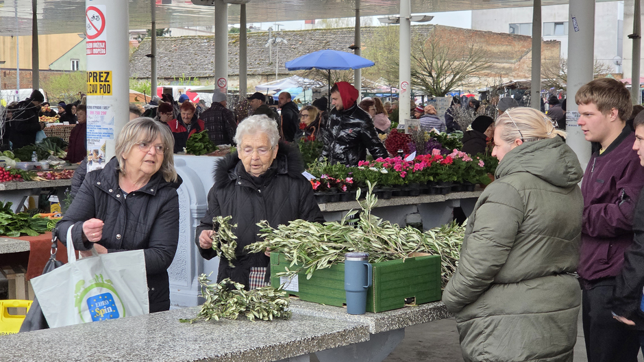  | Author: Željka Gavranović / PlusPortal