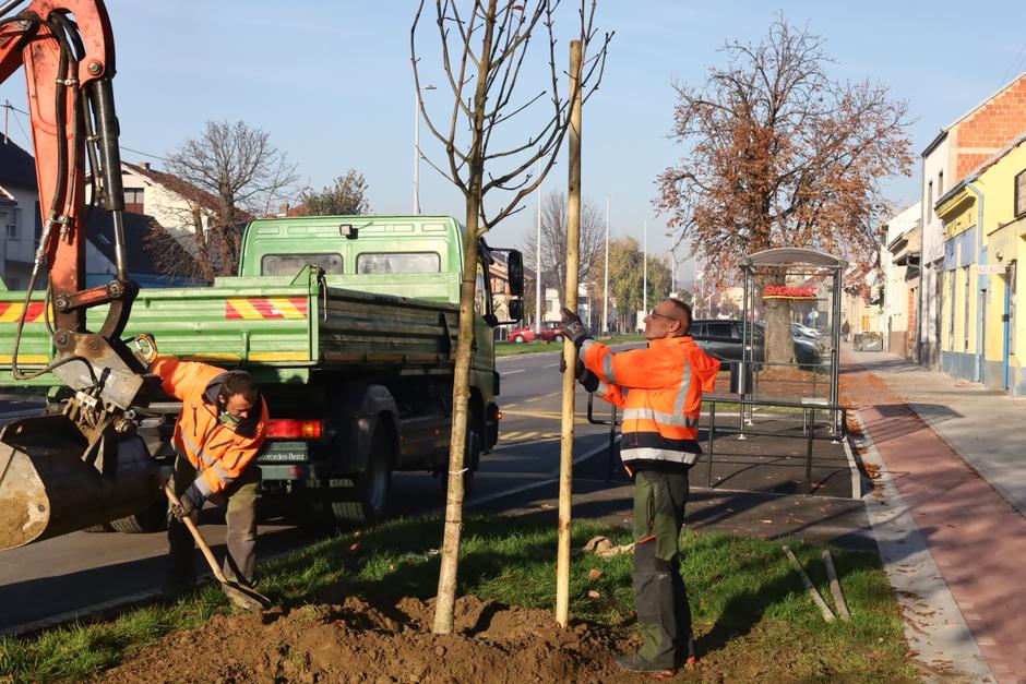  | Author: Grad Nova Gradiška