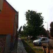 Slika 4