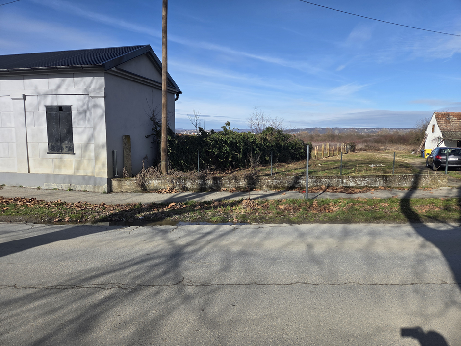  | Author: ilustracija. Foto: DZ/PLUS