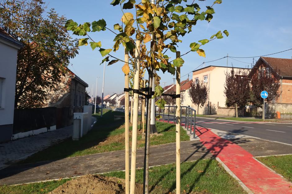  | Author: Grad Nova Gradiška