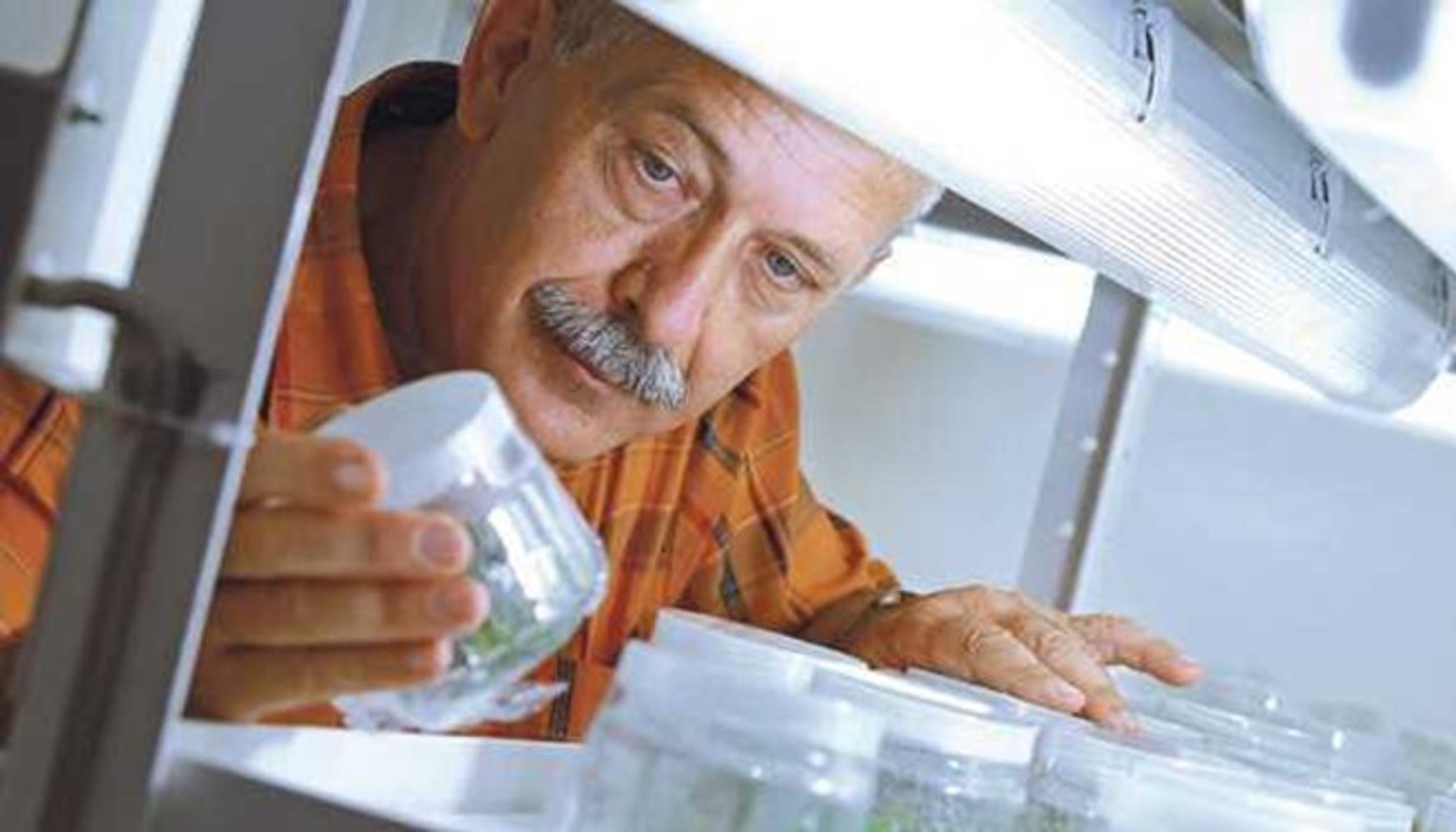 Vlado Prskalo