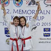 KK Slavonski Brod
