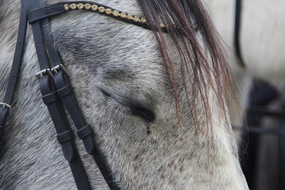  | Author: Luka Sudar / PlusPortal