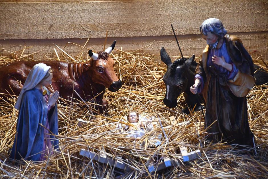  | Author: Ivica Galović/Pixsell