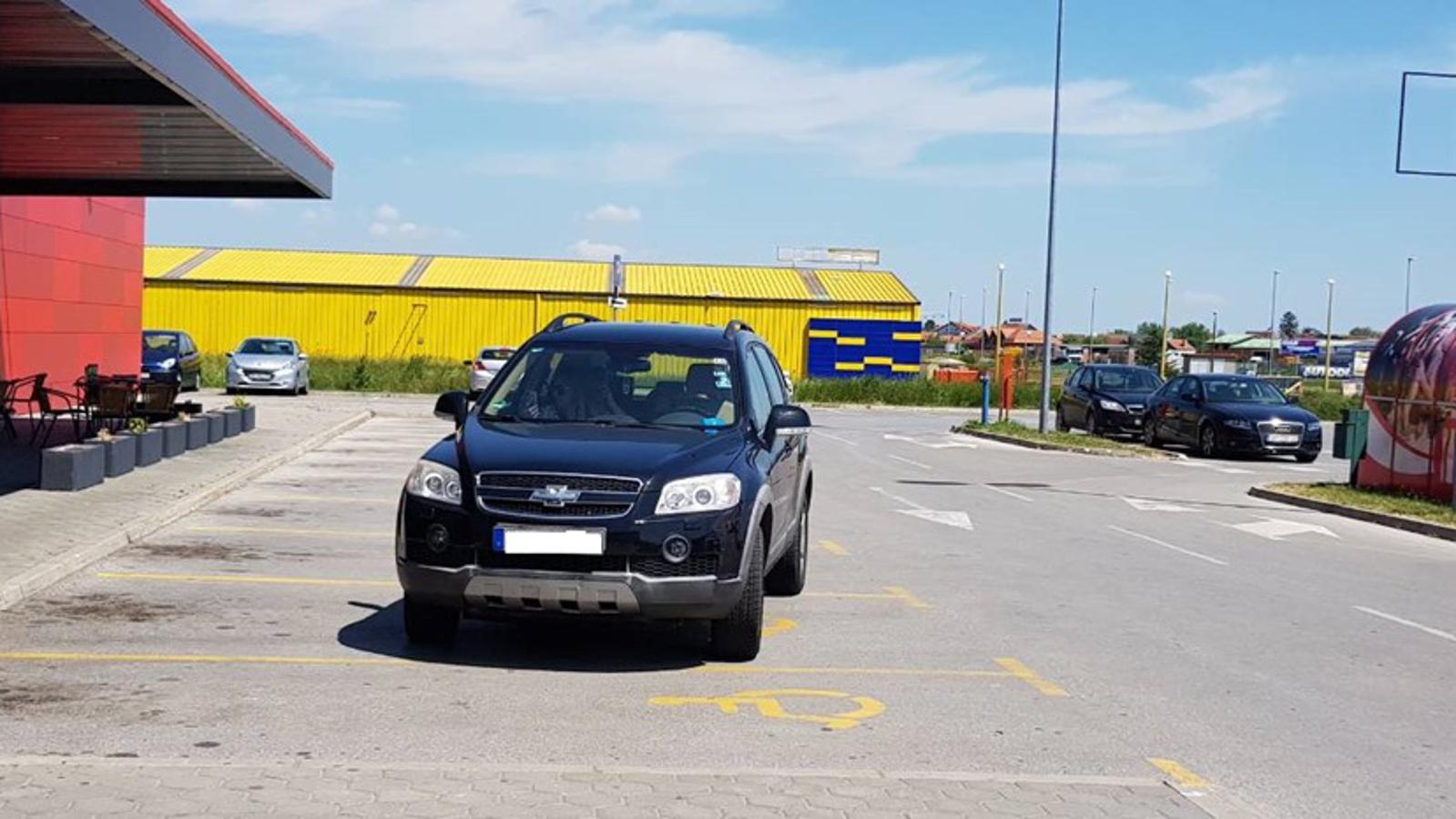 Čitateljica SBplus-a