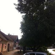 Slika 9