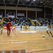 Slika 1