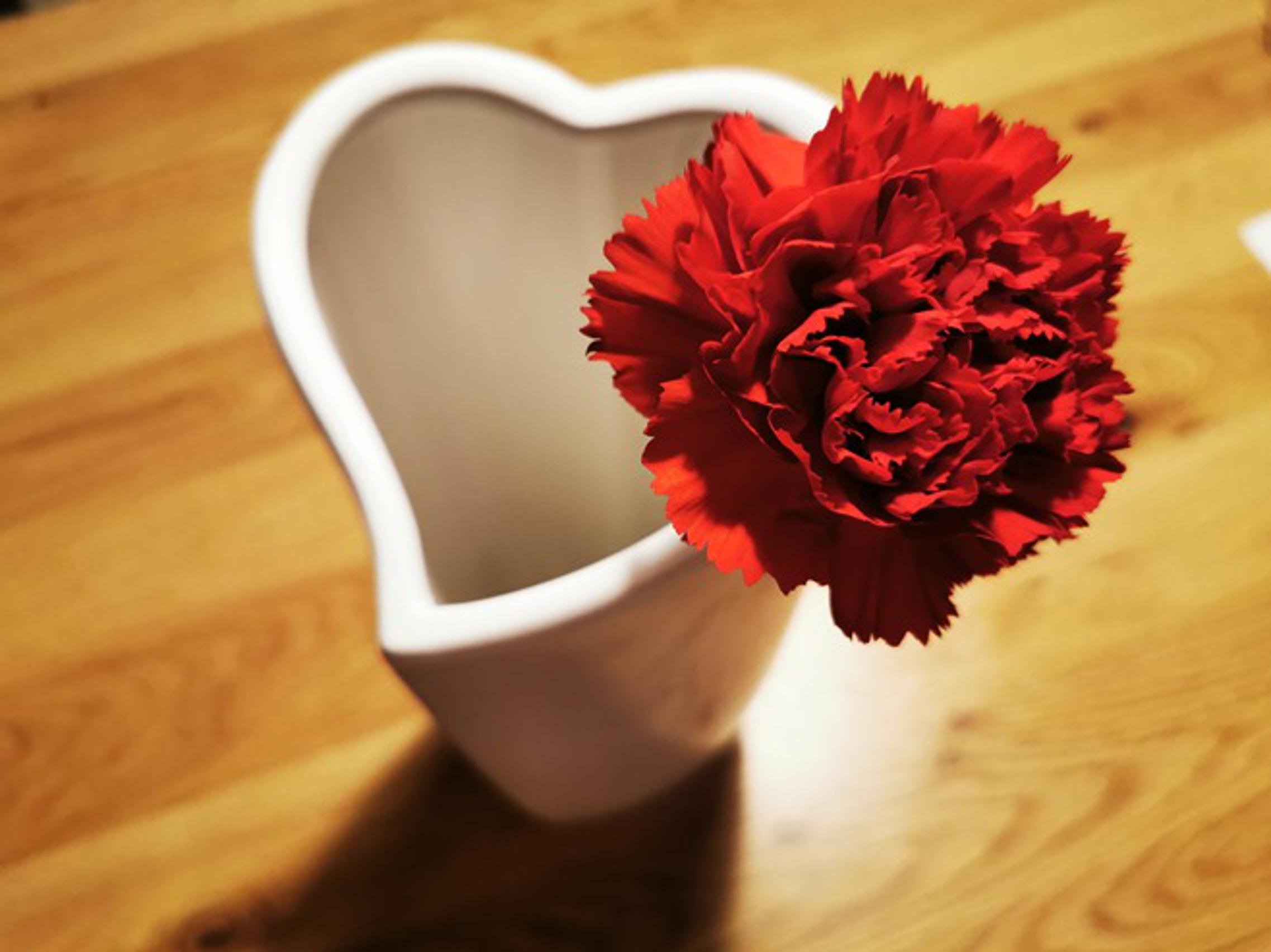 Karanfil - nekad omiljeni poklon za Osmi mart