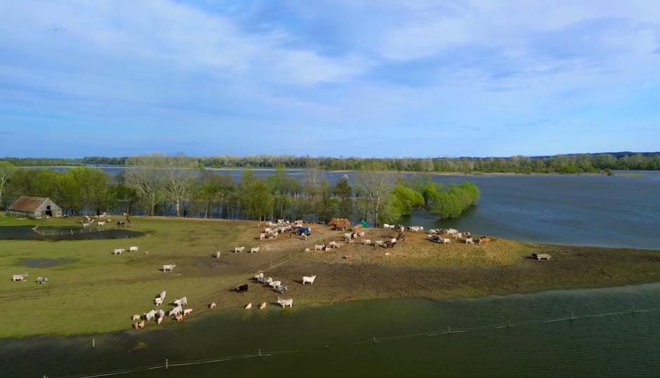  | Author: ScreenShot/D. Soldo za BED