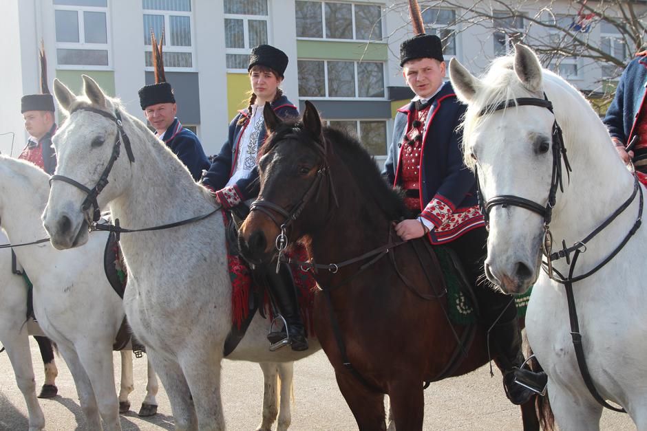  | Author: Luka Sudar / PlusPortal