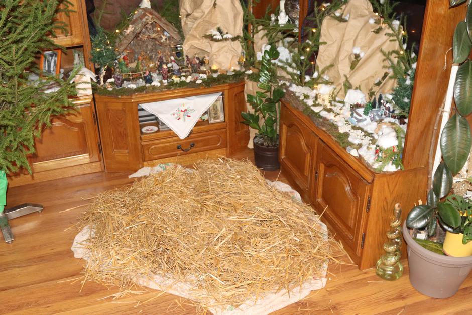  | Author: I.B./Ž.G./Plusportal