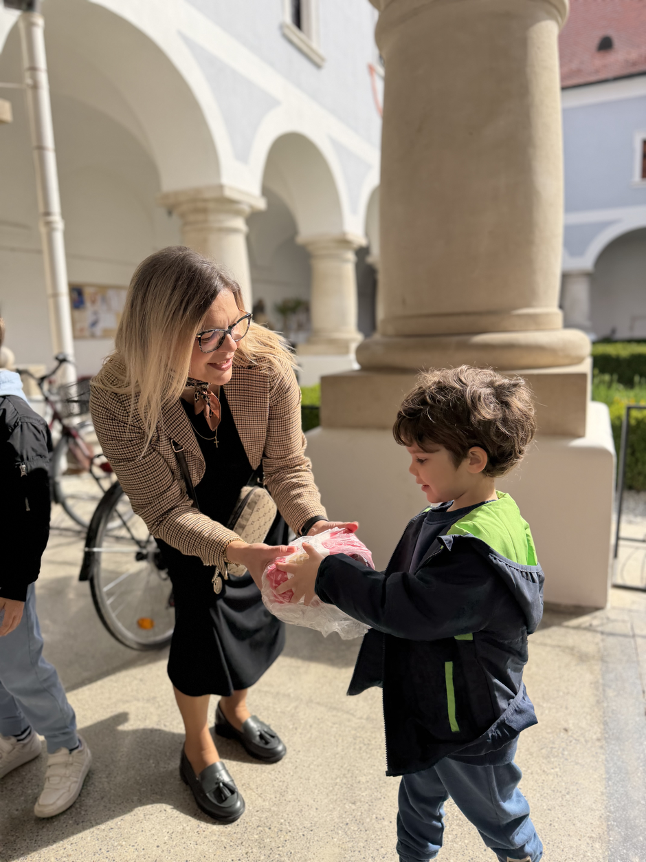  | Author: Irena Vukas Cufalar