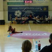 Slika 4