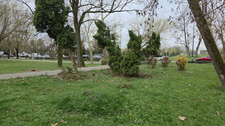  | Author: Željka Gavranović / PlusPortal