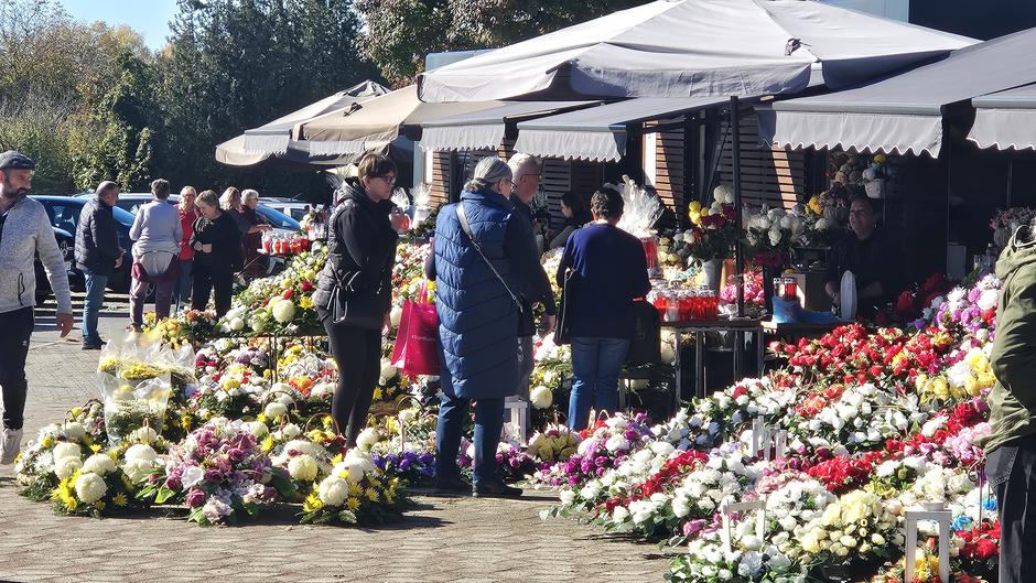 | Author: Željka Gavranović / PlusPortal