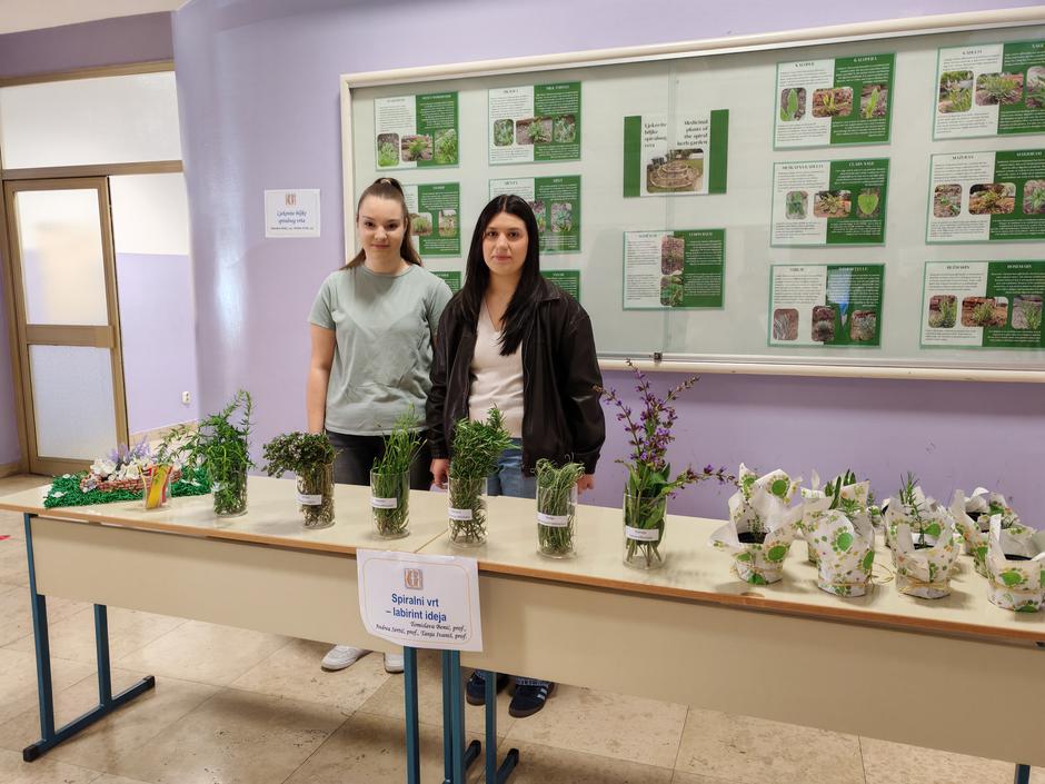  | Author: Radio Slavonija