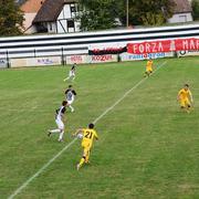 Slika 7